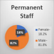 3d permanent staff pie chart graphic