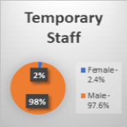 3d temporary staff pie chart graphic